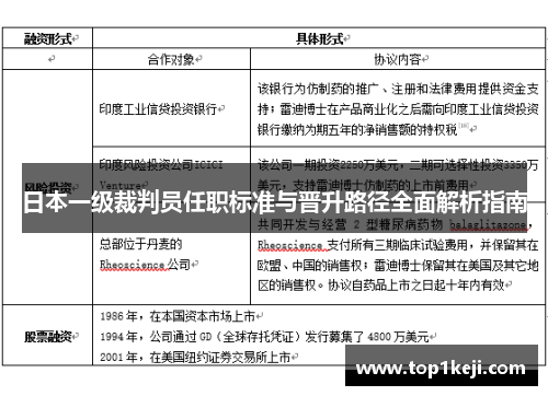 日本一级裁判员任职标准与晋升路径全面解析指南